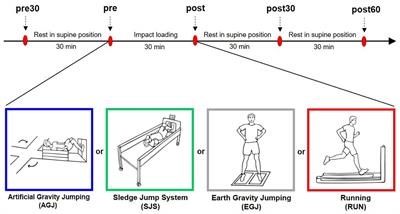 Short-term Response of Serum Cartilage Oligomeric Matrix Protein to Different Types of Impact Loading Under Normal and Artificial Gravity